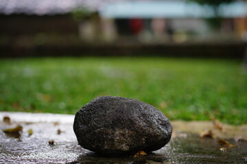 a stunning wet rock or stone with green nature blurry background