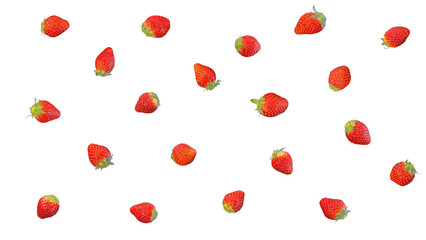 Image of many small strawberries lined up (white background)
