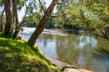 Goulburn River at Thornton with gum trees leaning over the water's edge, dappled shade on the grassy bank. Clear water flows gently, revealing the sandy riverbed. Rural nature landscape in Australia.
