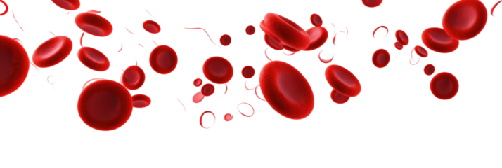 Erythrocytes blood cell stream on transparent background