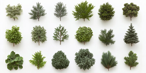 tree, christmas, pine, fir, decoration, green, nature, holiday, evergreen, spruce, xmas, winter, isolated, needle, plant, season, object, twig, celebration, forest, coniferous, leaf, flower, color, fl