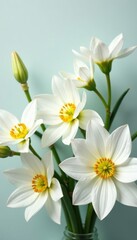 Fototapeta premium Crisp white floral arrangement, clean lines, negative space , copy, floral arrangement