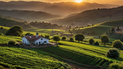 Landscape photograph capturing a lush agricultural scene at sunset.