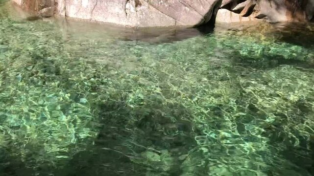 透き通った渓谷の水流