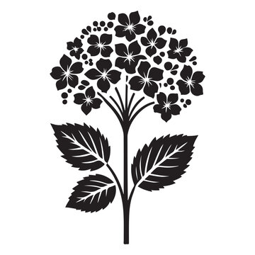 black hydrangea flower silhouette on white clip art preview