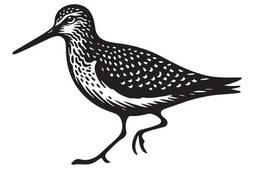 Artistic Dunlin Bird Illustration Walking Detailed Vector Line Art