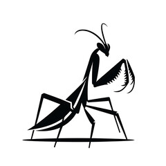 Preying mantis insects icon of silhouette isolated on white background 0145