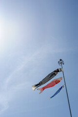 鯉のぼり大中小