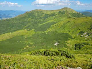 Obraz premium Carpathians, view of Mount Vukhatiy Kamin and Mount Smotrych