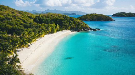 Obraz premium Tropical beach with palm trees and clear turquoise water