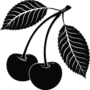 Cherry Silhouette Vector Design, Cherry Icon