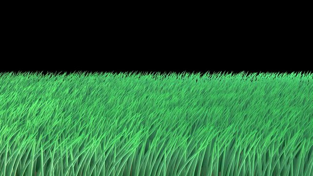 Grass field foreground looping 3d animation rendering with alpha channel .