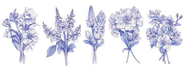 Bundled Collection set of flowers line art paintings.