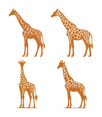 vector set silhouette of giraffe (artwork 1)