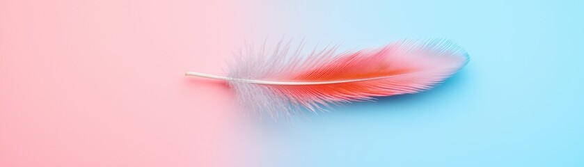 Obraz premium Concept of freedom and lightness. A delicate feather in soft pink and blue tones on a gradient background.