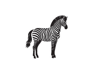 Obraz premium zebra vector illustration