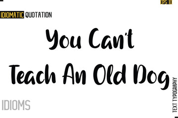 Stylish Cursive Inspirational Typography Idiom Caption Text-  You Can't Teach An Old Dog
