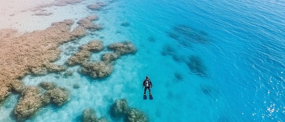 Diver explores vibrant coral reef, ocean backdrop