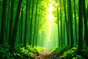Fototapeta premium Serene green bamboo grove, sunlight dappled through leaves , peaceful, photography, photo