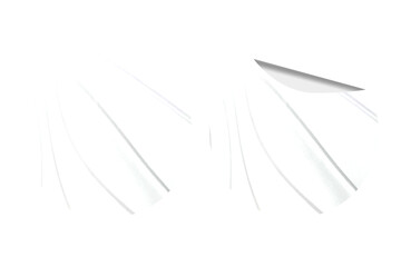 Blank Round Sticker for Mock up Template - 235