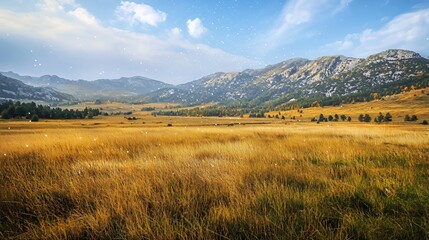 Golden Autumn Field And Mountain Landscape Under a Sunny Sky