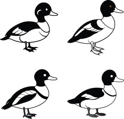 Bird Outline Illustration Set Line Art Collection of Various Birds