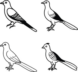 Bird Outline Illustration Set Line Art Collection of Various Birds