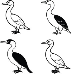 Bird Outline Illustration Set Line Art Collection of Various Birds