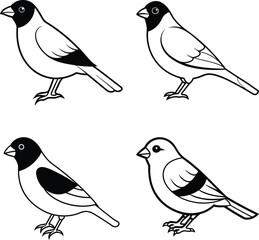 Bird Outline Illustration Set Line Art Collection of Various Birds