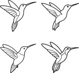 Bird Outline Illustration Set Line Art Collection of Various Birds