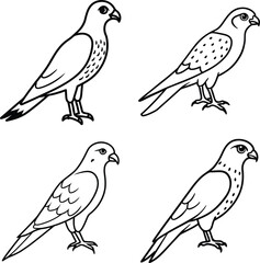 Bird Outline Illustration Set Line Art Collection of Various Birds