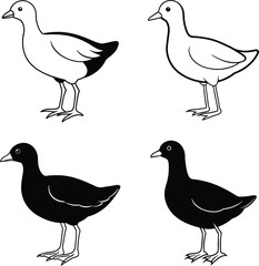 Bird Outline Illustration Set Line Art Collection of Various Birds