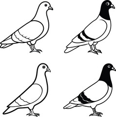 Bird Outline Illustration Set Line Art Collection of Various Birds