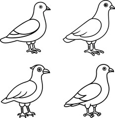 Bird Outline Illustration Set Line Art Collection of Various Birds