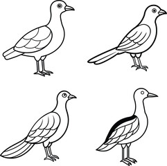 Bird Outline Illustration Set Line Art Collection of Various Birds