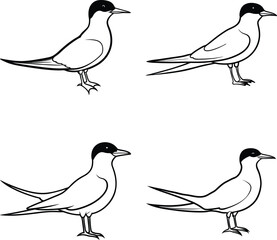 Fototapeta premium Bird Outline Illustration Set Line Art Collection of Various Birds