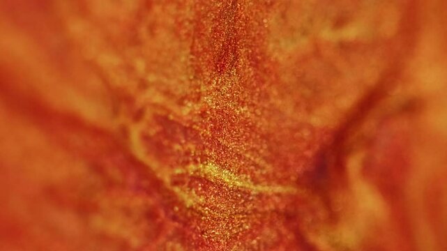 Sparkle splashing. Rock orange. Sprinkle gold yellow shiny dust on fire abstract pattern beautiful carrot bright modern background.