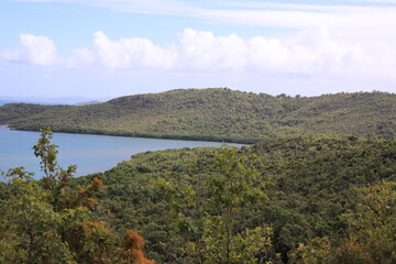 presqu'ile caravelle, martinique, antilles