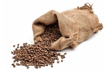Raw cacao beans spilling from a jute sack on white background
