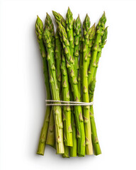 Fresh Asparagus Bunch Isolated on White Background
