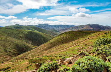 Obraz premium Hilly landscape, Island Fuerteventura, Canary Islands, Spain, Europe.