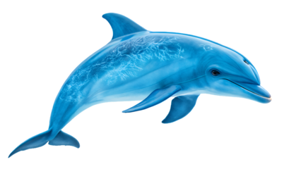 A blue dolphin design without background