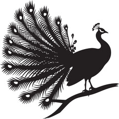 peacock vector illustration