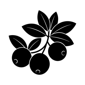 black berries with leaves clip art preview
