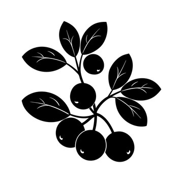 black berries with leaves on white clip art preview