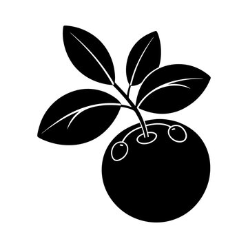black berries on branch clip art preview