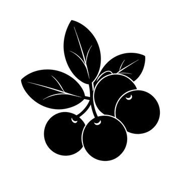 black berries with leaves clip art preview