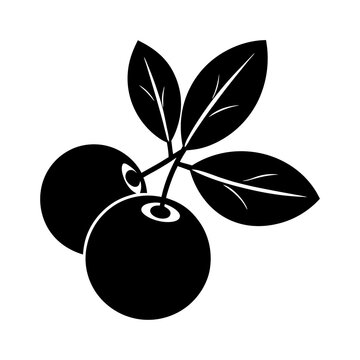 black berries with leaves on white clip art preview