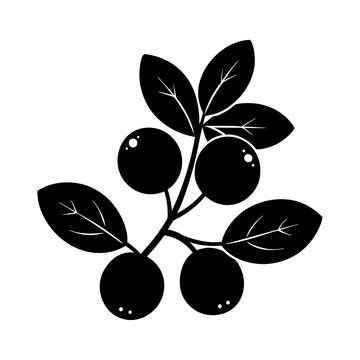 black berries on branch clip art preview