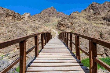 A sturdy suspension bridge standing strong over a deep canyon, symbolizing reliability